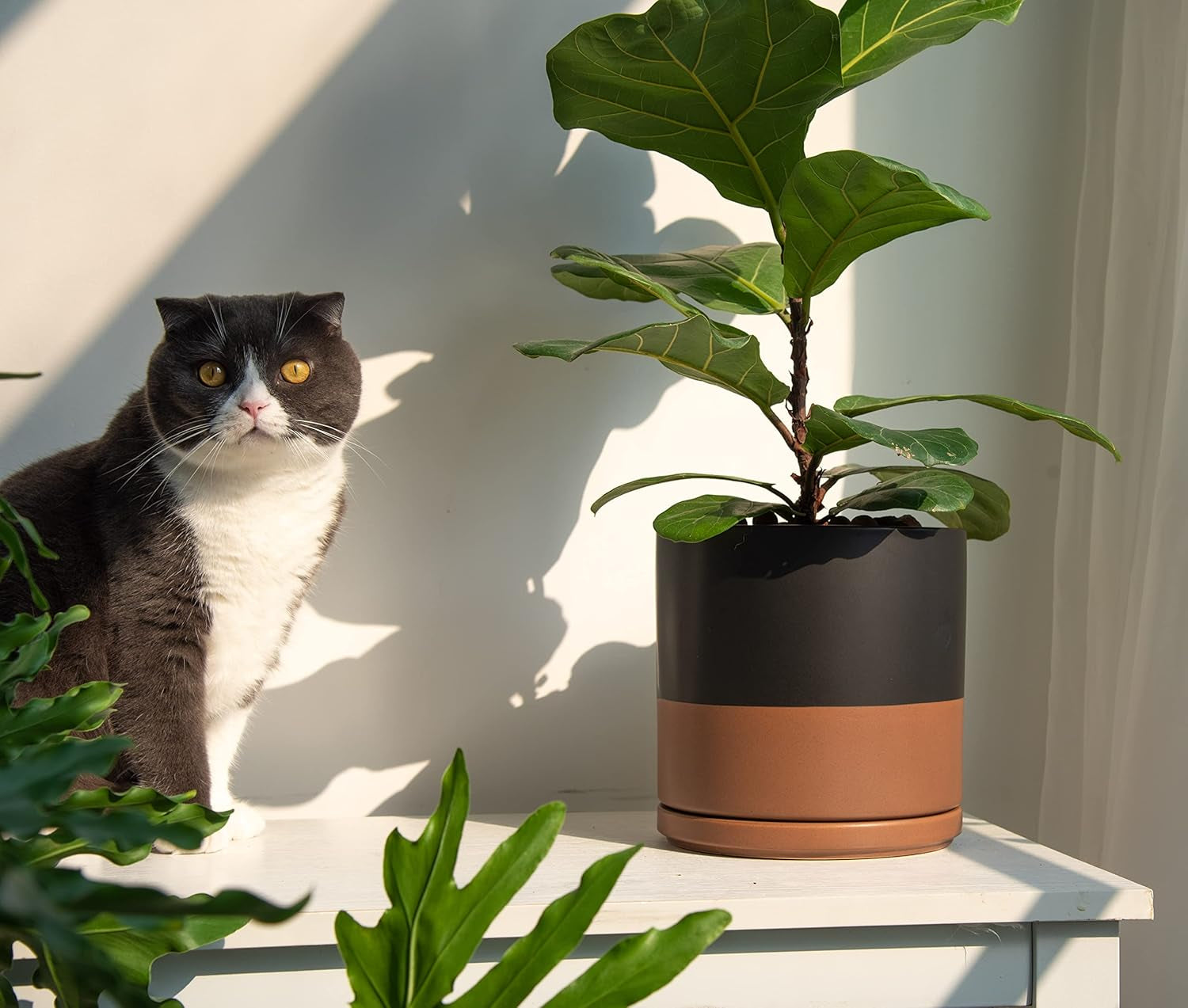 8 Inch Ceramic Planter Pot with Drainage Hole and Saucer, Indoor Cylinder round Planter Pot, Black/Speckled Tan, 94-O-D-7