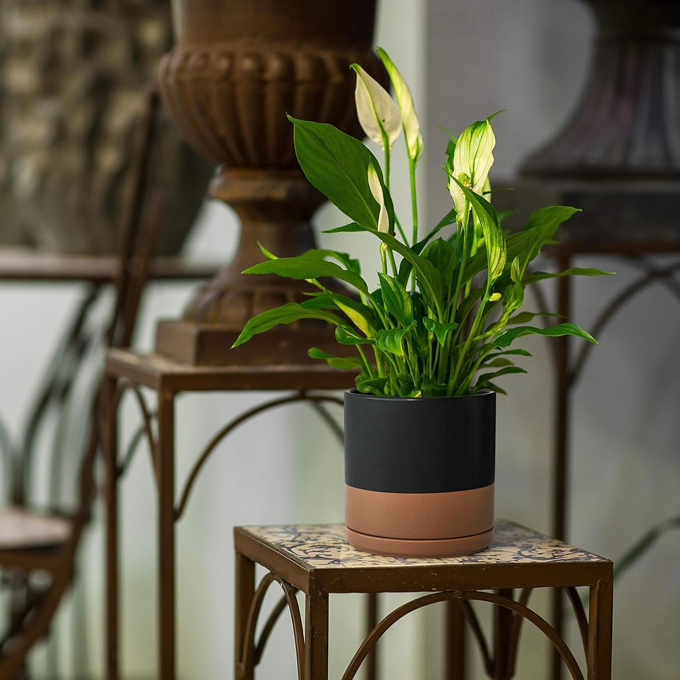 8 Inch Ceramic Planter Pot with Drainage Hole and Saucer, Indoor Cylinder round Planter Pot, Black/Speckled Tan, 94-O-D-7