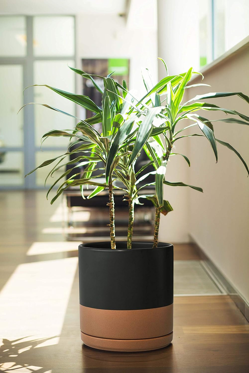 8 Inch Ceramic Planter Pot with Drainage Hole and Saucer, Indoor Cylinder round Planter Pot, Black/Speckled Tan, 94-O-D-7